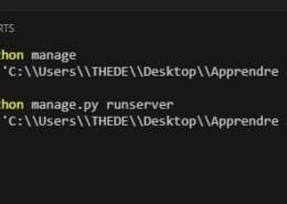 Erreur d'exécution runserver.py avec django
